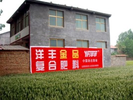 韶山如何让墙体广告展现最大化效果