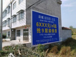 韶山墙体广告质量分析