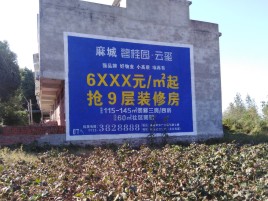 韶山品牌公司青睐的墙体广告